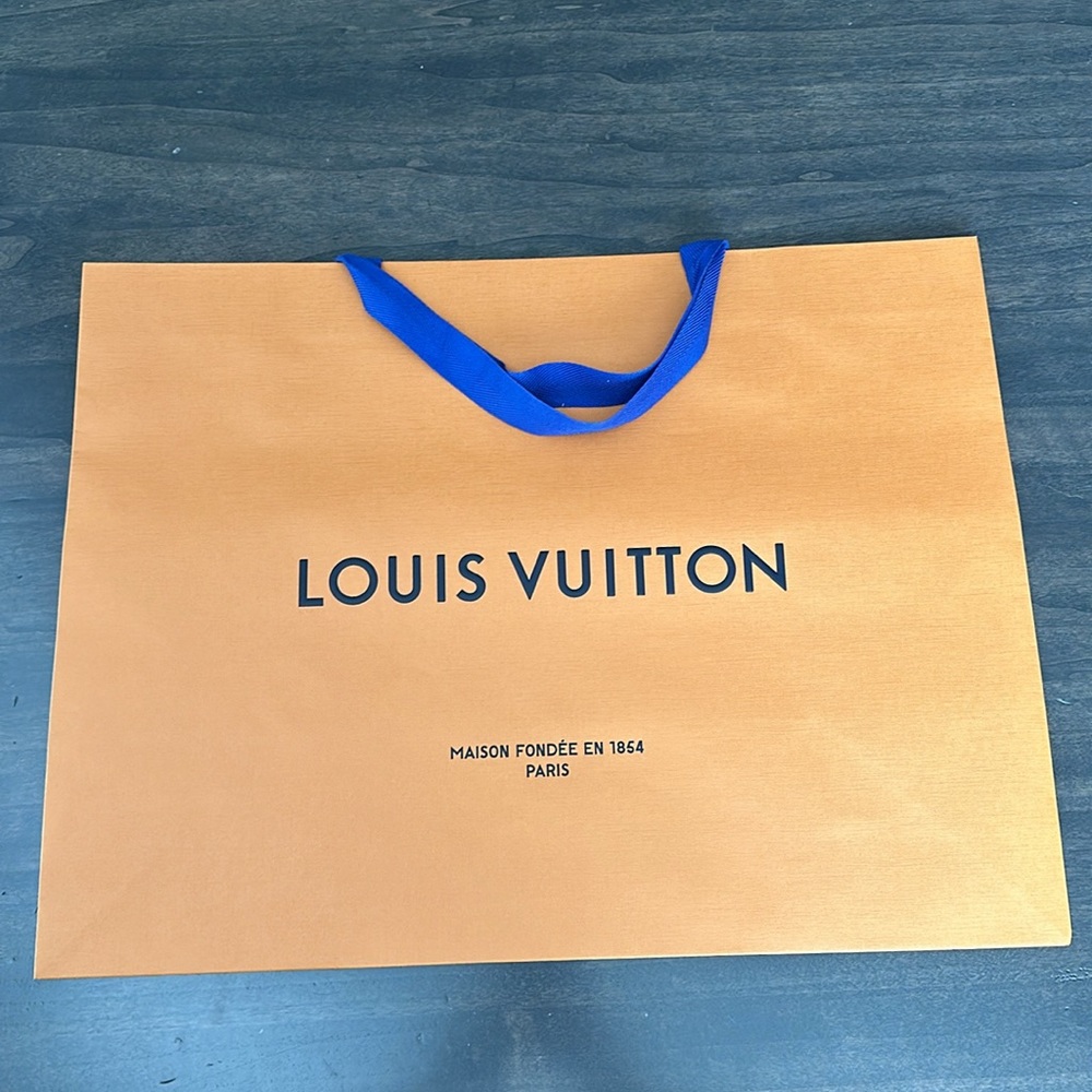 Louis Vuitton Storage Box and Shopping Bag - Picture 9 of 10